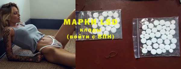 спайс Нея