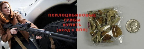 спайс Нея