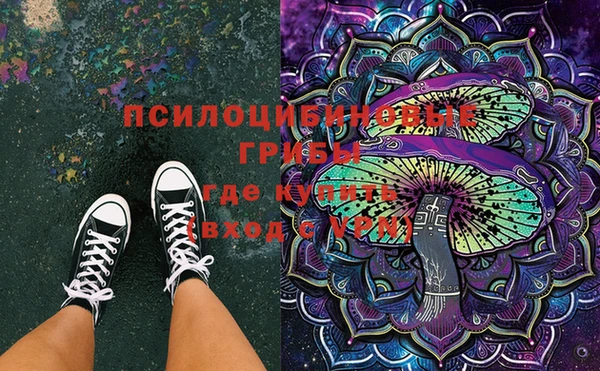 спайс Нея