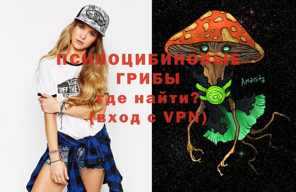 стаф Нефтекумск
