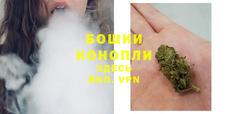 наркота  Мензелинск  Конопля Ganja 